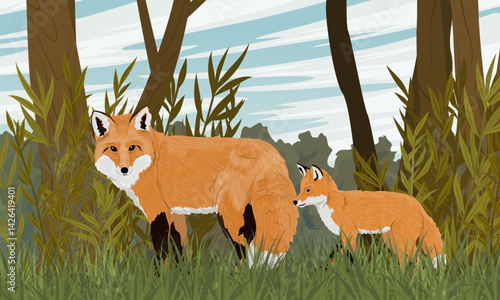 Red fox and her cub walking through the summer forest. Realistic vector landscape