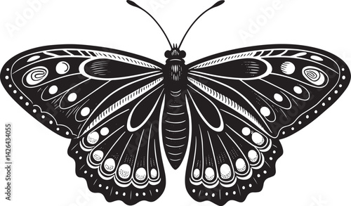butterfly isolated on white