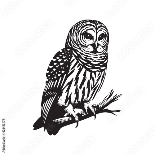 Barred owl Silhouette - Barred owl Vector - Minimalist Barred owl Illustration - Black and White Art.