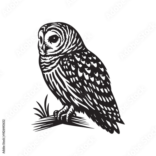 Barred owl Silhouette - Barred owl Vector - Minimalist Barred owl Illustration - Black and White Art.