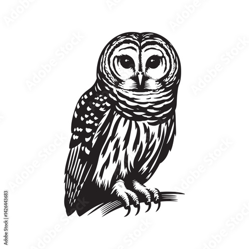 Barred owl Silhouette - Barred owl Vector - Minimalist Barred owl Illustration - Black and White Art.