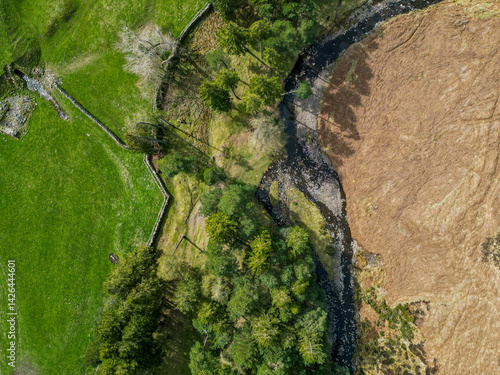 Bird’s Eye View of Stone Walls and Fields Dividing Moorland and Forest – North Pennines, UK