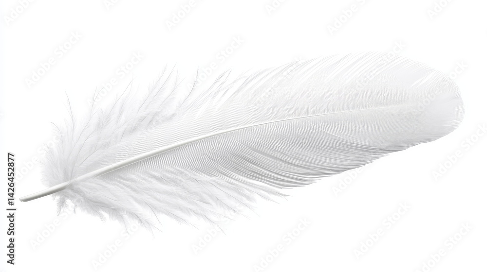 Obraz premium Delicate White Feather Close-up