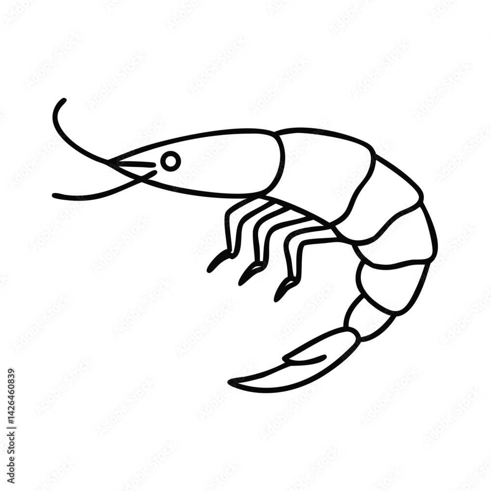 Illustrative vector Shrimp Drawing in Black Outline Illustrative vector Shrimp Drawing in Black Outline