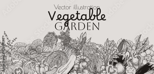 Vector illustration of healthy food. Vegetables and greens. Carrot, celery, cabbage, beet, radish, cucumber, tomato, corn, pepper, broccoli, onion, eggplant. Farm and organic food. Grocery store