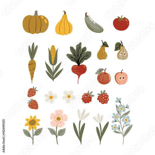 Vector illustration set in flat cartoon style featuring pumpkins, pears, apples, strawberries, wheat, carrots, zucchini, tomatoes, and beets. Isolated on white. Cute, colorful, and kid-friendly design