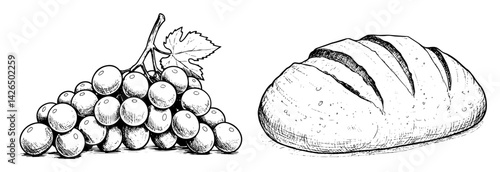 bread and bunch of grapes sketch vector illustration