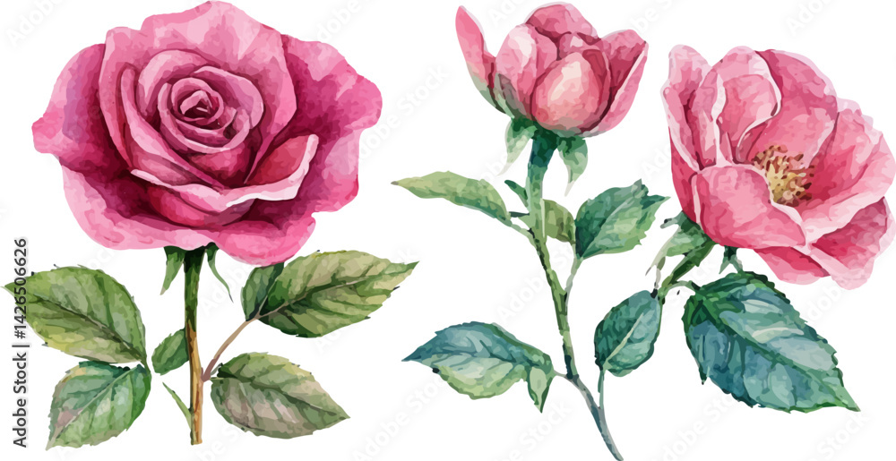 bouquet of pink roses bouquet of pink roses