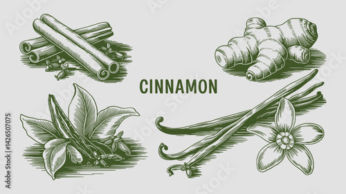 A vintage-style vector engraving set of cinnamon sticks, cocoa beans, ginger root, cloves, and vanilla pods