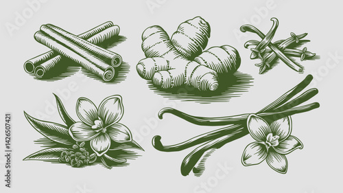 A vintage-style vector engraving set of cinnamon sticks, cocoa beans, ginger root, cloves, and vanilla pods