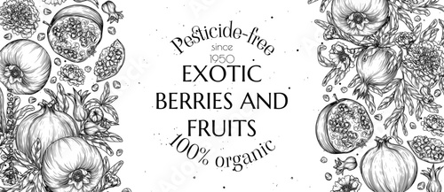 Vector frame of a branch with pomegranate fruits and blossoms in engraving style. Grocery store brochure. Fresh farm fruits. Organic farming. Nutrition banner, healthy eating