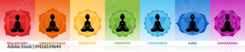 Seven different rainbow colored aura layers and chakras. Layers or sheaths of human body in yoga philosophy. Meditation concept. Auric bodies. Vector illustration