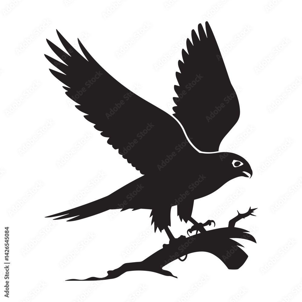 Obraz premium Hawk in Flight - Powerful Bird of Prey Illustration