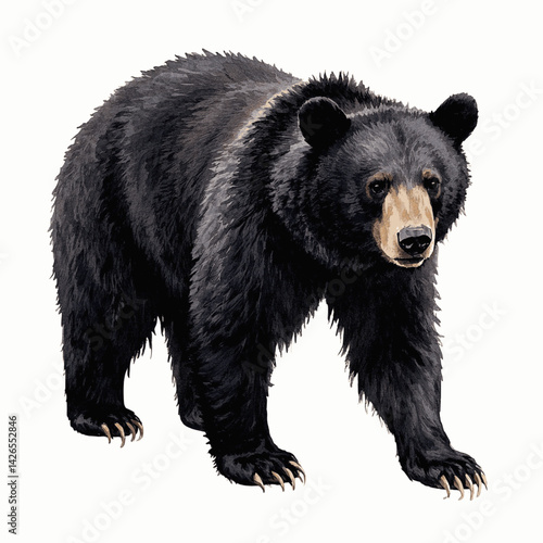 Strength in wash black bear isolated watercolor vector illustration svg 