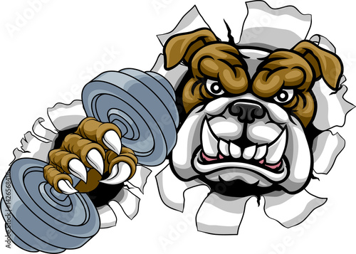 Bulldog Dog Weight Lifting ...