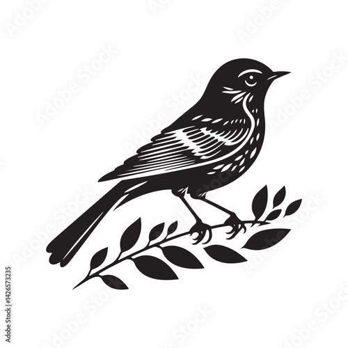 Eastern bluebird Silhouette - Eastern bluebird Vector - Illustration of Eastern bluebird - Eastern bluebird Black and white Art.