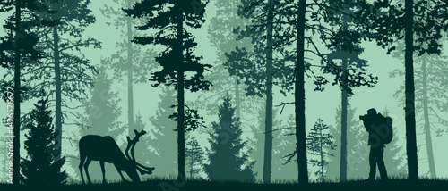 Beautiful widescreen vector forest landscape with a hiker taking picture of a moose.