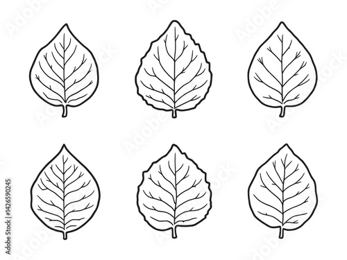 Betel leaf line art elegant outline graphic for nature lovers