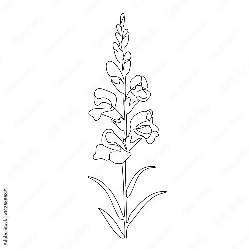 Fototapeta premium snapdragon