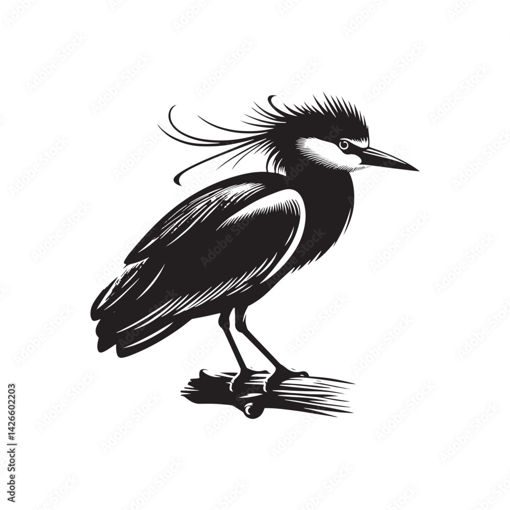 Fototapeta premium Black-crowned night heron Silhouette - Vector of Black-crowned night heron - Minimal Black-crowned night heron Illustration.
