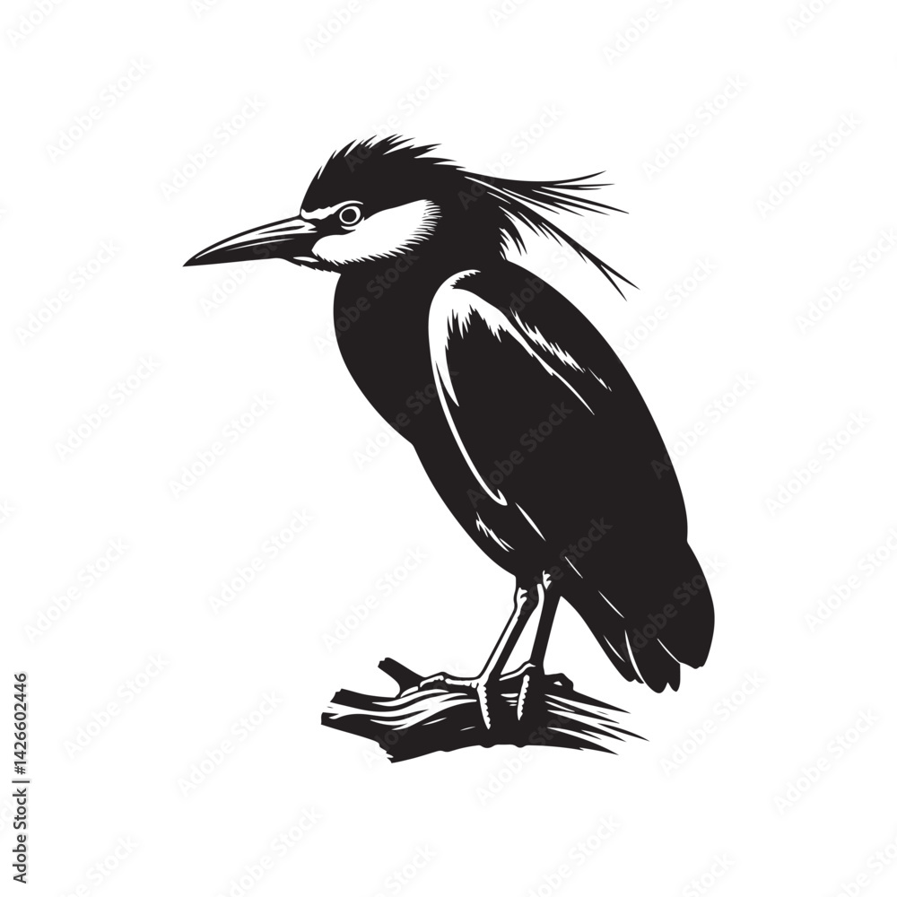 Fototapeta premium Black-crowned night heron Silhouette - Vector of Black-crowned night heron - Minimal Black-crowned night heron Illustration.