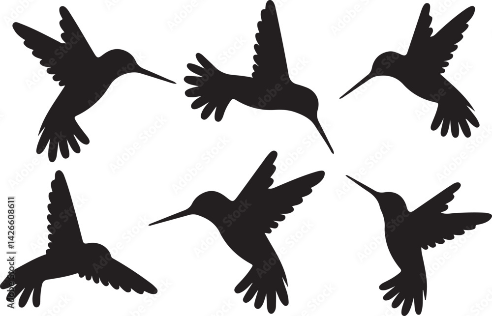 Obraz premium vector silhouettes of humming birds