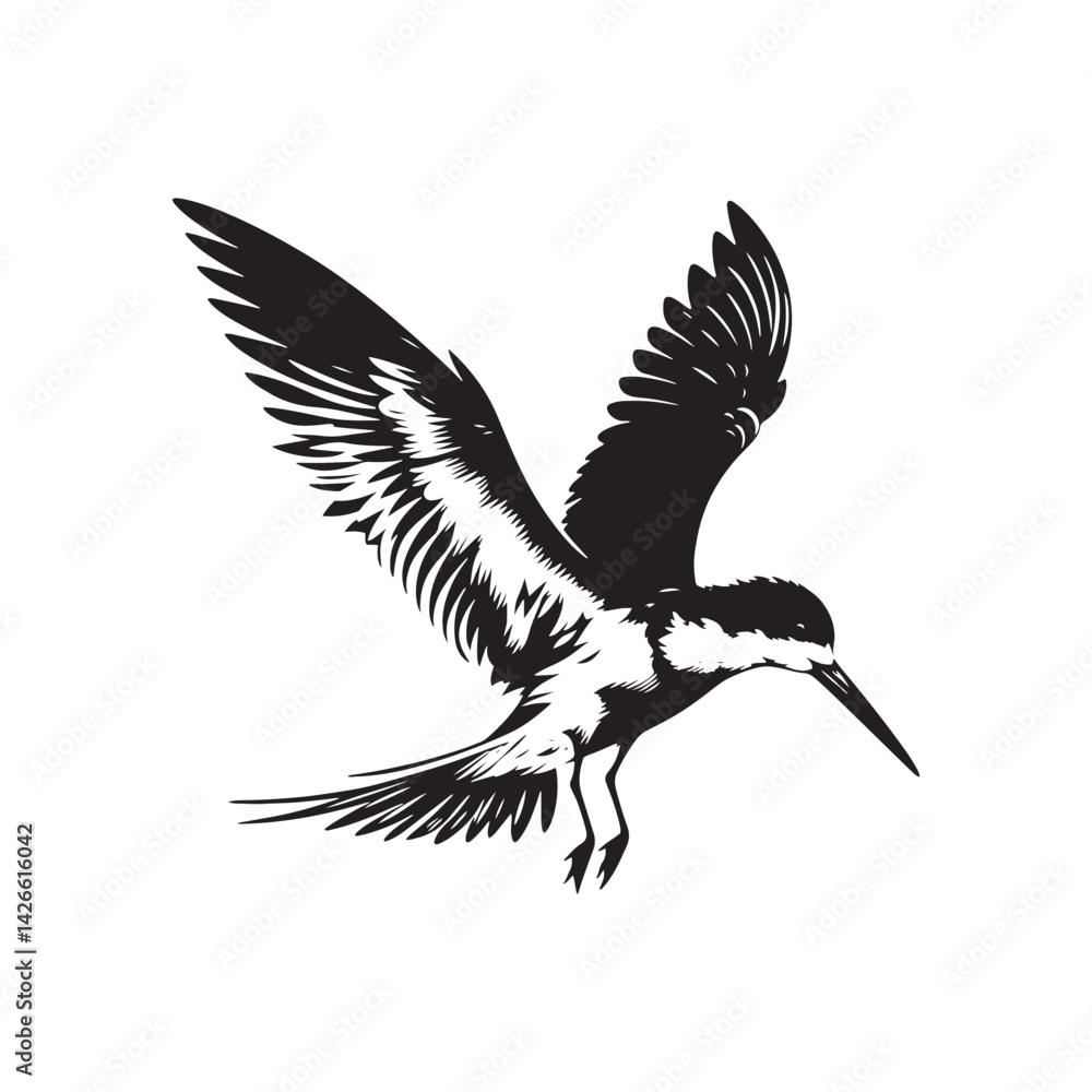 Fototapeta premium Black skimmer Silhouette - Black skimmer Art - Minimal Black skimmer Vector - Black skimmer illustration.