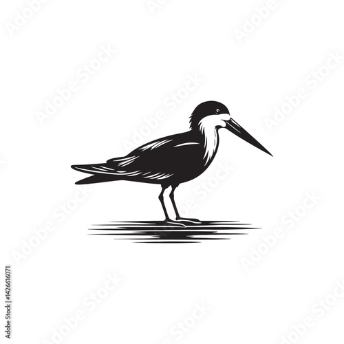 Black skimmer Silhouette - Black skimmer Art - Minimal Black skimmer Vector - Black skimmer illustration.
