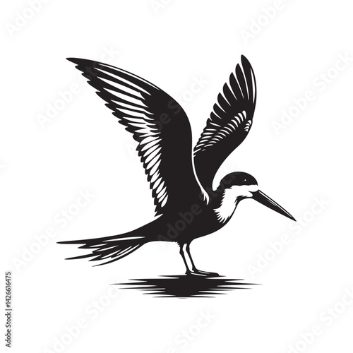 Black skimmer Silhouette - Black skimmer Art - Minimal Black skimmer Vector - Black skimmer illustration.
