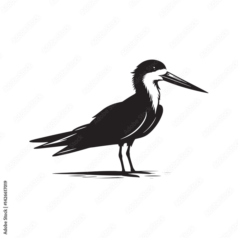 Fototapeta premium Black skimmer Silhouette - Black skimmer Art - Minimal Black skimmer Vector - Black skimmer illustration.