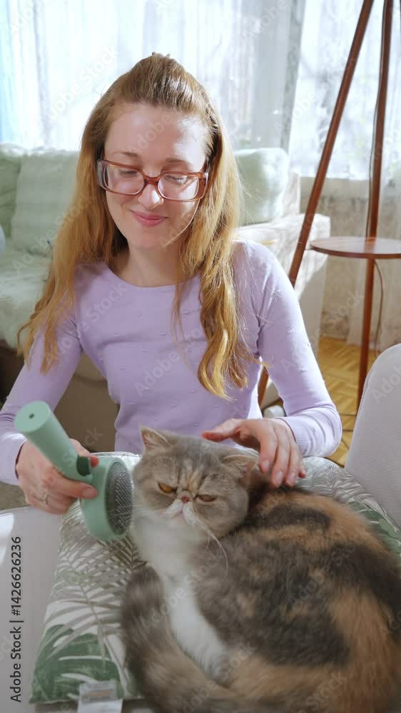 Young woman gently brushing a cat at home. Pet care routine in a cozy living room filled with natural light. Calm domestic moment, love and bonding with a pet.