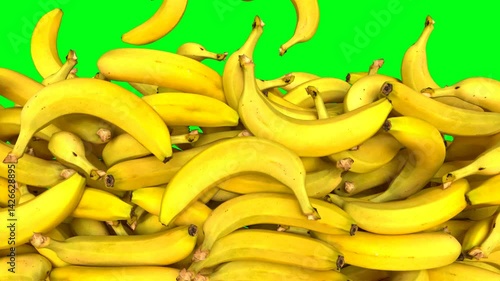 Banana Fruits Fall Transition.