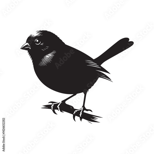 Dark-eyed junco Vector Silhouette - Black and White  Dark-eyed junco Illustration - Dark-eyed junco bird art.