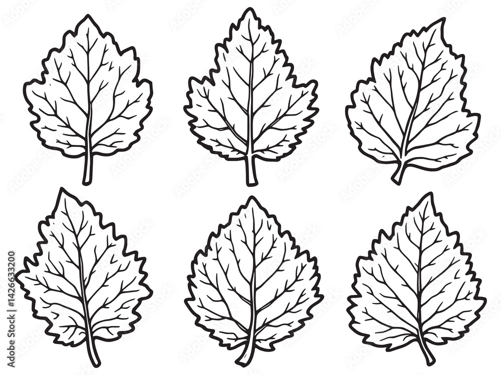 Fototapeta premium Chestnut leaf line art detailed drawing of natural foliage
