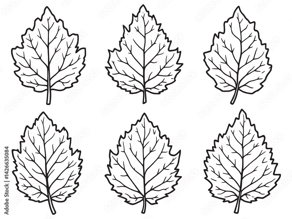 Fototapeta premium Chestnut leaf line art elegant graphic of botanical foliage shape