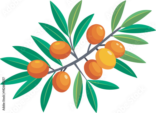 A vibrant vector illustration showcasing the delicious sea buckthorn fruit with its bright orange berries and natural appeal