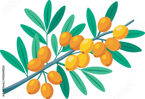A vibrant vector illustration showcasing the delicious sea buckthorn fruit with its bright orange berries and natural appeal