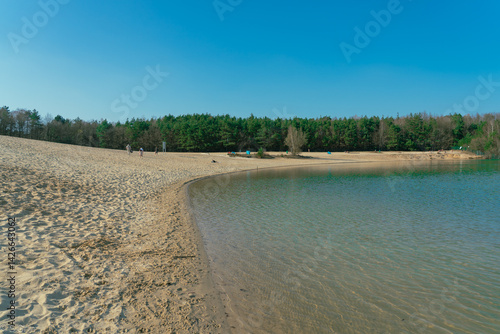 Shallow lake with sandy shore and forest in the background