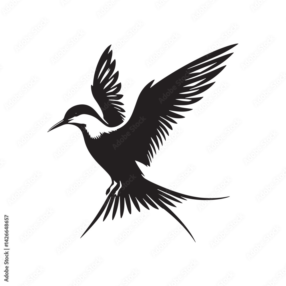 Obraz premium Common tern minimal Silhouette - Common tern Vector - Illustration of Common tern.
