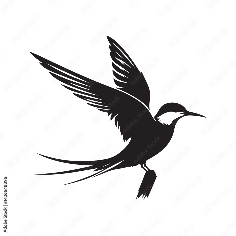 Obraz premium Common tern minimal Silhouette - Common tern Vector - Illustration of Common tern.