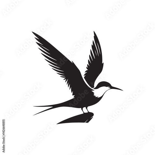 Common tern minimal Silhouette - Common tern Vector - Illustration of Common tern.