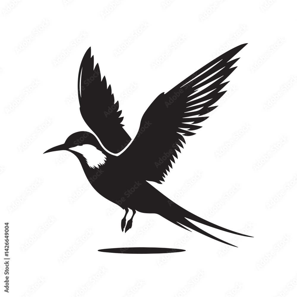 Common tern minimal Silhouette - Common tern Vector - Illustration of Common tern. Common tern minimal Silhouette - Common tern Vector - Illustration of Common tern.