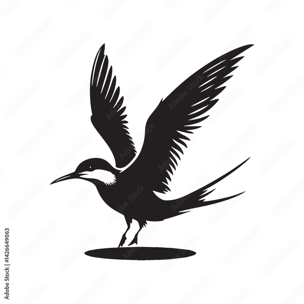 Obraz premium Common tern minimal Silhouette - Common tern Vector - Illustration of Common tern.