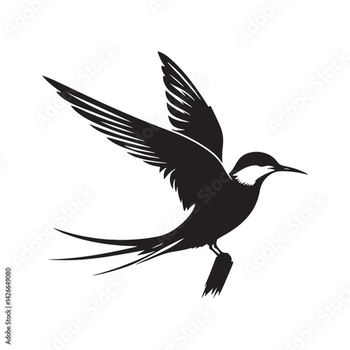 Common tern minimal Silhouette - Common tern Vector - Illustration of Common tern.