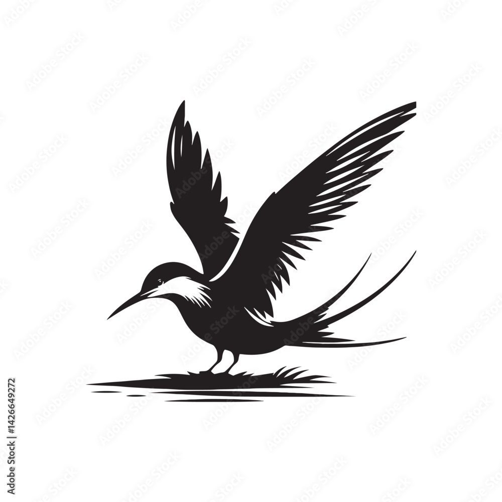 Obraz premium Common tern minimal Silhouette - Common tern Vector - Illustration of Common tern.