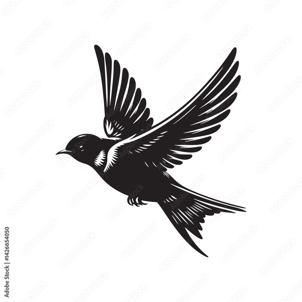 Obraz premium Common swift Bird Vector Silhouette - Common swift Design - Black and White Common swift Illustration.