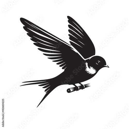 Common swift Bird Vector Silhouette - Common swift Design - Black and White Common swift Illustration.
