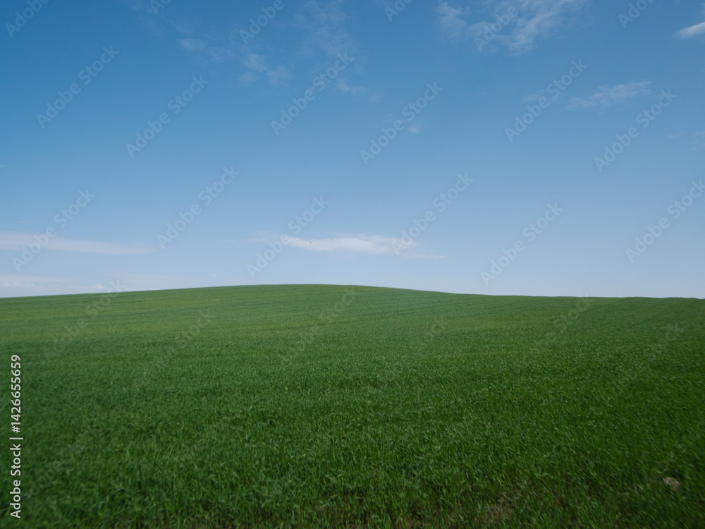 Naklejka premium A beautifully serene green landscape featuring a vibrant clear blue sky, perfect for various naturethemed projects