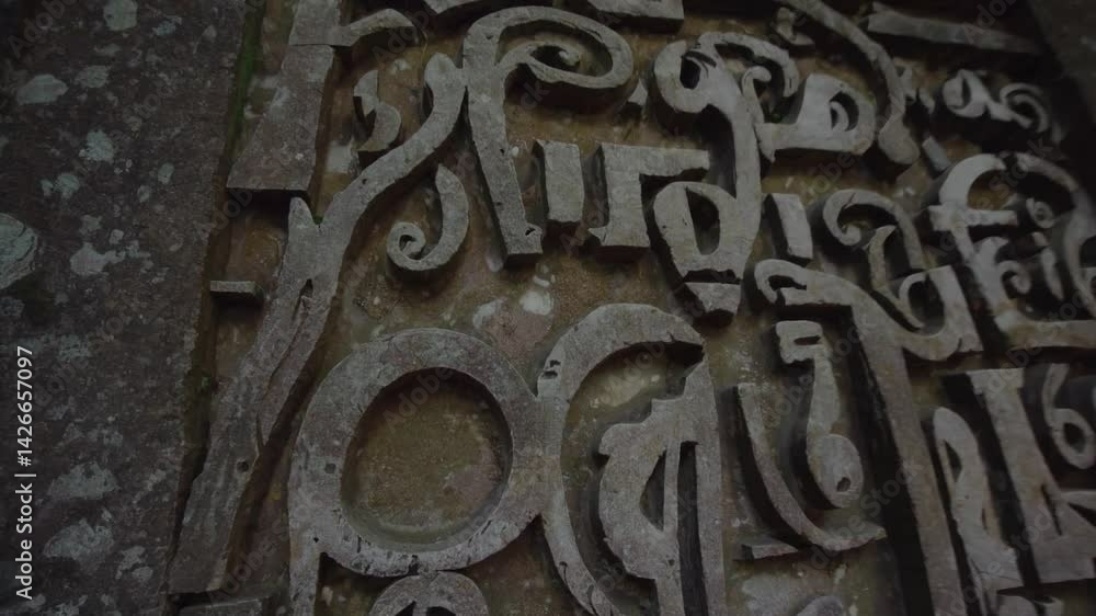 Ancient Stone Carving Overgrown by Lush Tropical Forest Ancient Stone Carving Overgrown by Lush Tropical Forest