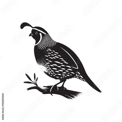 Common Quail Vector - Common Quail Silhouette - Minimalist Common Quail Illustration.